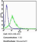 ErbB2 (HER-2) Antibody in Flow Cytometry (Flow)