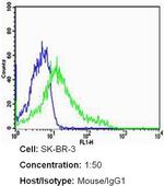 ErbB2 (HER-2) Antibody in Flow Cytometry (Flow)