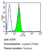 MiTF Antibody in Flow Cytometry (Flow)