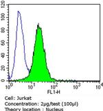Cyclin E Antibody in Flow Cytometry (Flow)