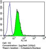 p21 Antibody in Flow Cytometry (Flow)