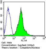 p21 Antibody in Flow Cytometry (Flow)
