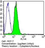p21 Antibody in Flow Cytometry (Flow)