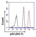Mouse IgG2b Isotype Control (NCG2B.01)