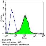 CDX2 Antibody in Flow Cytometry (Flow)