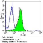 CDX2 Antibody in Flow Cytometry (Flow)