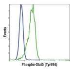 Phospho-STAT5 alpha (Tyr694) Antibody in Flow Cytometry (Flow)