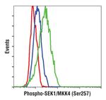 Phospho-MAP2K4 (Ser257) Monoclonal Antibody (G.674.10)