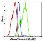 Caspase 8 (Cleaved Asp391) Antibody in Flow Cytometry (Flow)
