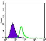 CD338 / ABCG2 Antibody in Flow Cytometry (Flow)