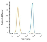 TERT Antibody in Flow Cytometry (Flow)