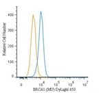 BRCA1 Monoclonal Antibody (MU), DyLight™ 650