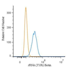 rRNA Antibody in Flow Cytometry (Flow)