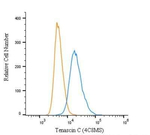 Tenascin C Antibody in Flow Cytometry (Flow)