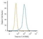 Tenascin C Antibody in Flow Cytometry (Flow)