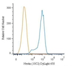 Nestin Monoclonal Antibody (10C2), DyLight™ 650