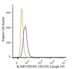 Blimp-1 Monoclonal Antibody (3H2-E8), DyLight™ 650