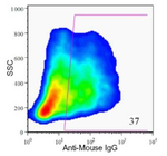 HPx2 Antibody in Flow Cytometry (Flow)