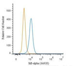 IkB alpha Antibody in Flow Cytometry (Flow)