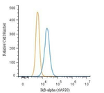 IkB alpha Antibody in Flow Cytometry (Flow)