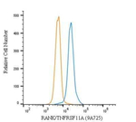 RANK Antibody in Flow Cytometry (Flow)