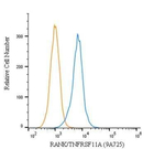 RANK Antibody in Flow Cytometry (Flow)