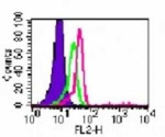 TLR6 Monoclonal Antibody (86B1153.2), PE