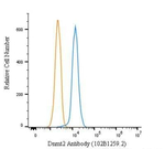 Dnmt2 Antibody in Flow Cytometry (Flow)