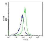 TLR4 Monoclonal Antibody (HTA125)