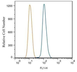 TLR7 Antibody in Flow Cytometry (Flow)