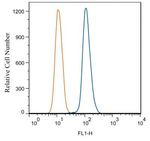 TLR7 Antibody in Flow Cytometry (Flow)