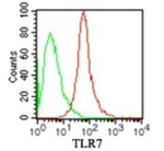 TLR7 Antibody in Flow Cytometry (Flow)