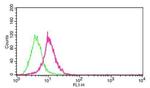 Carbonic Anhydrase IX Antibody in Flow Cytometry (Flow)