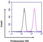 Rabbit IgG Isotype Control in Flow Cytometry (Flow)