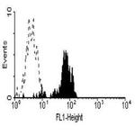 CD64 Monoclonal Antibody (10.1)