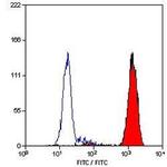 Ly-6B.2 Antibody in Flow Cytometry (Flow)