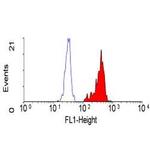 BTLA Antibody in Flow Cytometry (Flow)
