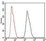 ALDH2 Antibody in Flow Cytometry (Flow)