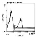 RT1.B Antibody in Flow Cytometry (Flow)