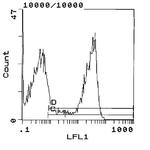 RT1.D Monoclonal Antibody (OX-17), FITC
