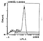 CD45RC Monoclonal Antibody (OX-22), FITC