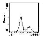 I-Ab Monoclonal Antibody (28-16-8S), PE
