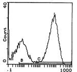 I-Ap Antibody in Flow Cytometry (Flow)