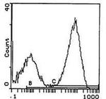 I-Ap Monoclonal Antibody (7-16.17), Biotin