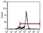 CD8 beta Monoclonal Antibody (CT-CD8b), PE