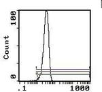 CD147 Monoclonal Antibody (OX114), PE