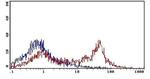 CD226 Antibody in Flow Cytometry (Flow)