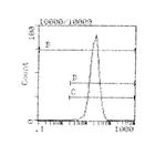 H-2Kb/H-2Db Antibody in Flow Cytometry (Flow)