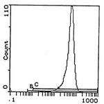 H-2Kb/H-2Db Antibody in Flow Cytometry (Flow)