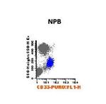CD33 Antibody in Flow Cytometry (Flow)